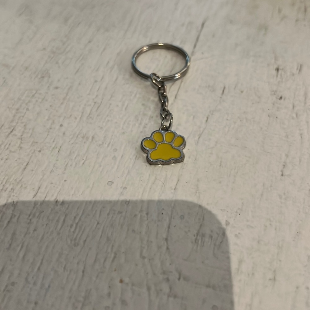 Nwt Paw key chain
